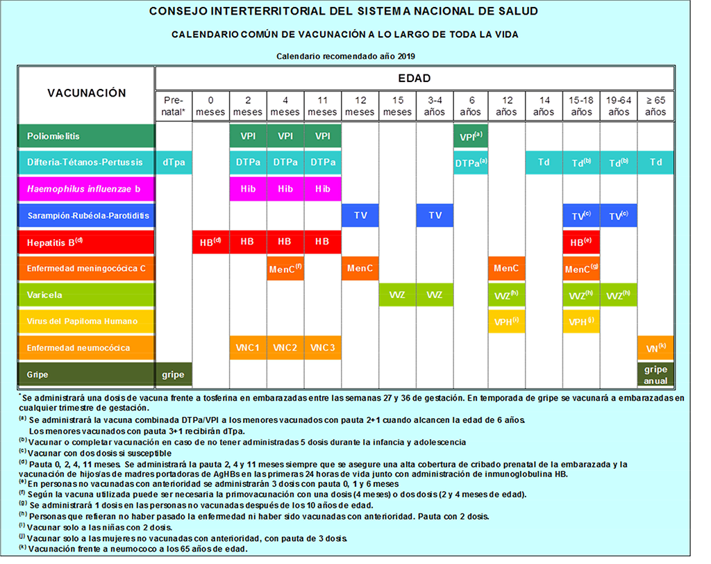 Calendario Vacunación 2019 Argentina - Imprimible PNG