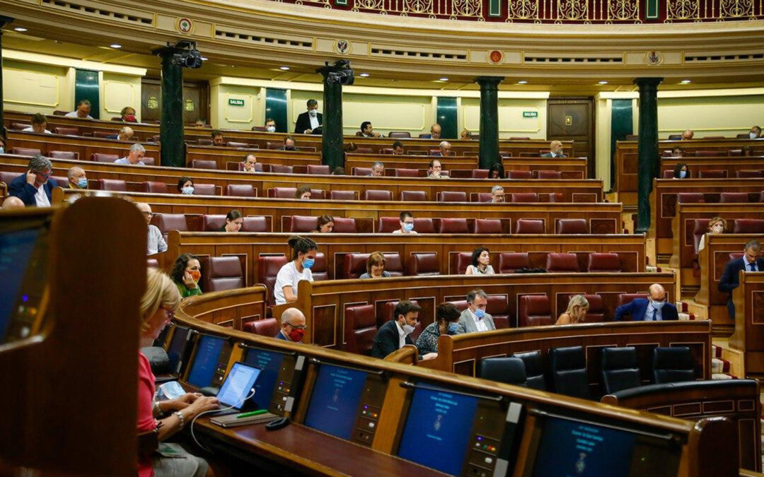 La Plataforma del Tercer Sector lamenta que el Congreso tumbe las políticas sociales para avanzar en la reconstrucción